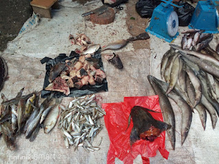 Ini Harga Ikan Tilan, Toman, Kelabau hingga Patik di Pasar Pagi Putussibau