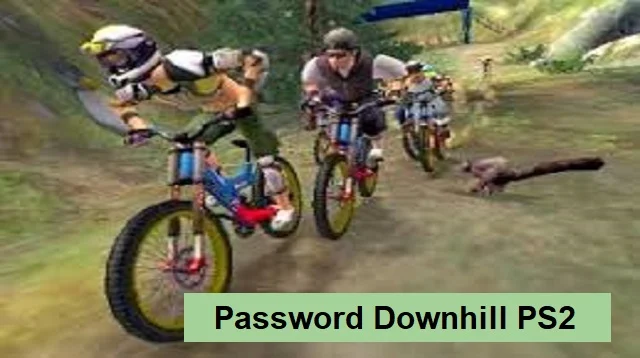 Password Downhill PS2