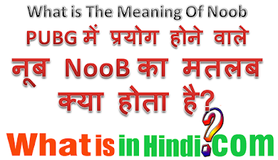 Noob का मतलब क्या होता है