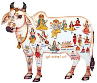 cow is like Goddess on Earth