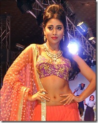 shriya_saran_gorgeous_photoshoot_pic