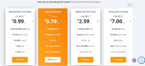 turhost hosting fiyatları nelerdir