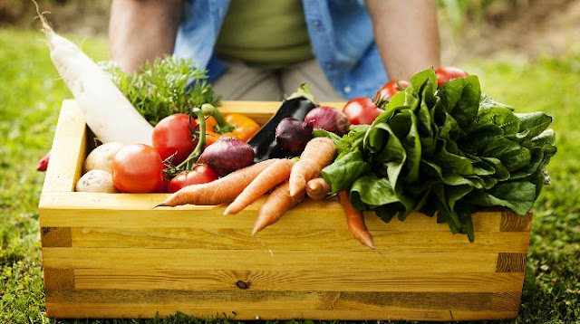 makan sayur untuk sembelit buasir kolestrol, sayur elak kanser usus, kenapa mesti makan sayur,