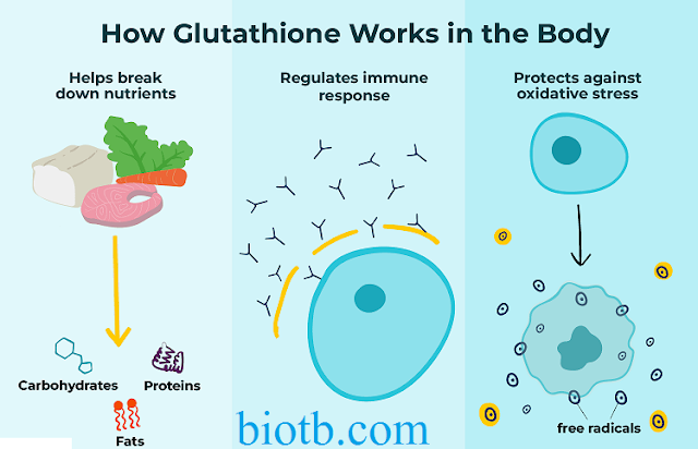 Glucathione functioning