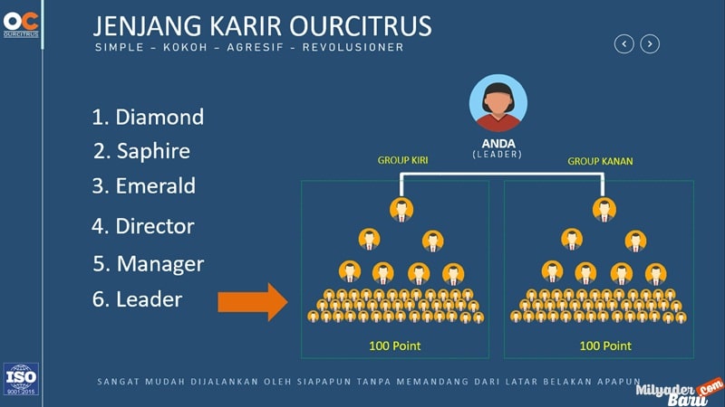 marketing plan ourcitrus