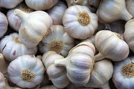  Garlic-Historical Herbal Medicine-Benefits of Garlic- Garlic top herbal medicine of heart attack, blood pressure & much more,