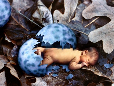 1982nascimento