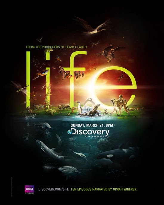 Discovery Channel - Life