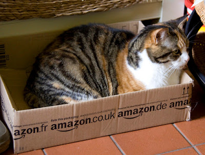 cat in a box from Amazon