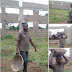 See Lecturer Who’s Now Labourer In Kwara Due To Non-Payment Of Salary For 6 Months 