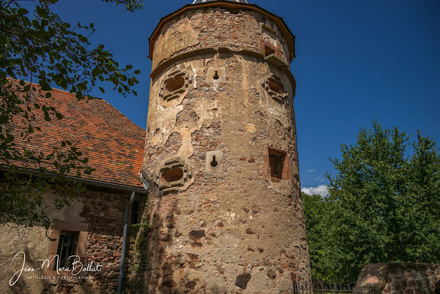 Château de Thanvillé (Alsace)