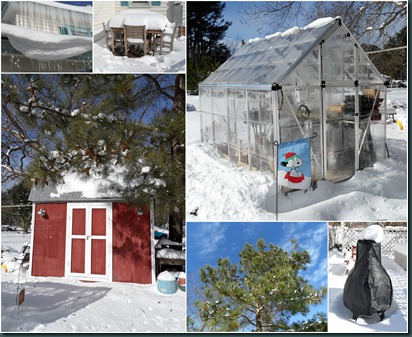 yard collage