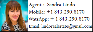 Sandra Lindo Agent