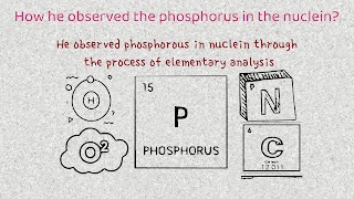 how he observed the phosphorus in the nuclein?