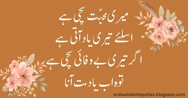 Sad Quotes In Urdu with Images