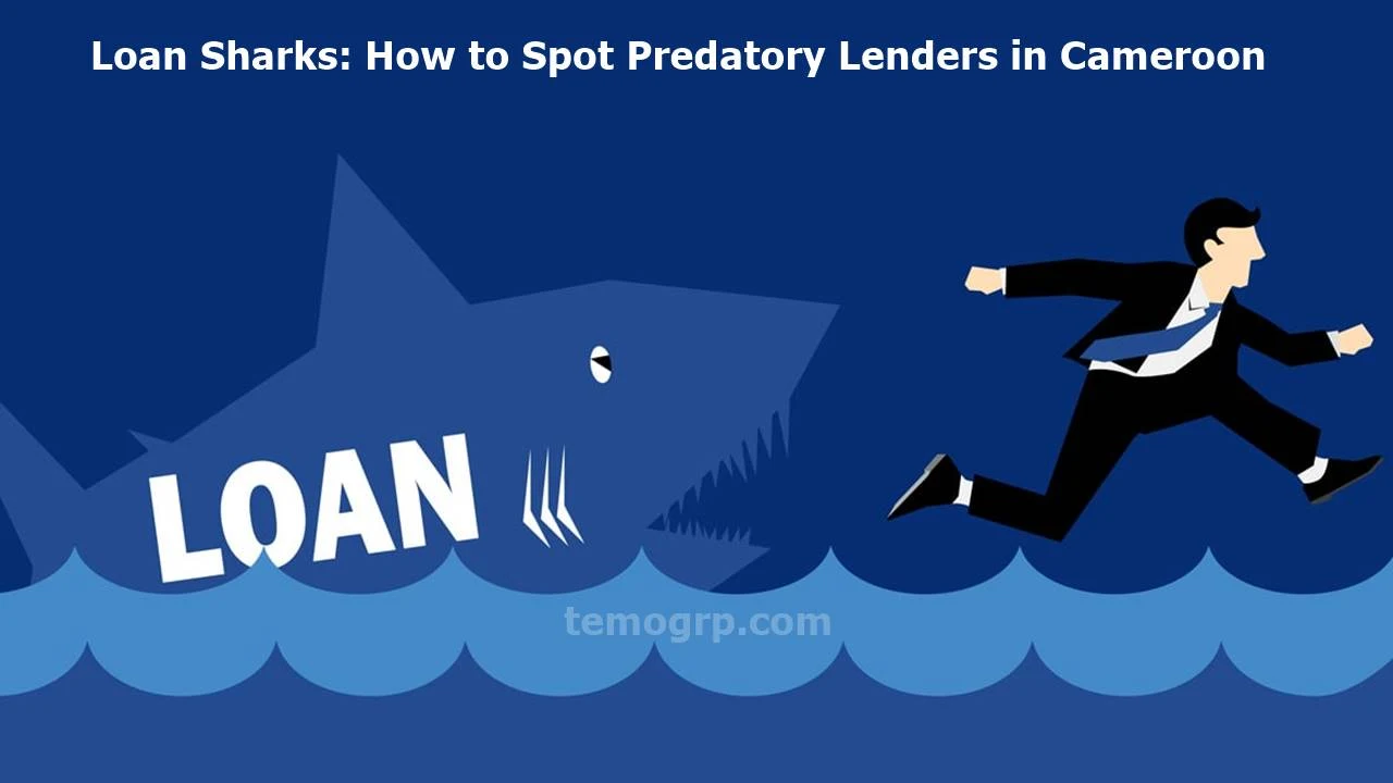 Loan Sharks: How to Spot Predatory Lenders in Cameroon