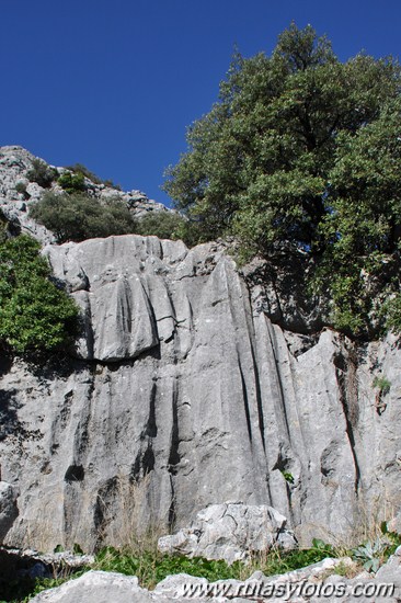 Benaocaz-El Hoyo-Jauletas-Puerto de Don Fernando