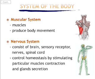 General Introduction To Anatomy physiology