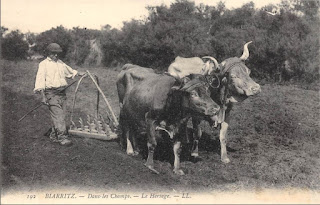 pays basque autrefois agriculture