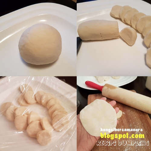 Resipi mudah membuat dumpling atau gyoza