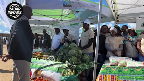 Províncias de Maputo e Nampula destacam-se no setor agrário com forte crescimento na produção de hortaliças e oleaginosas
