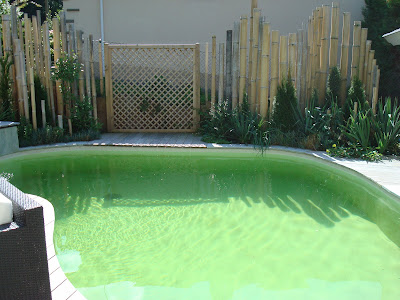 Constructeur piscine naturelle Evian
