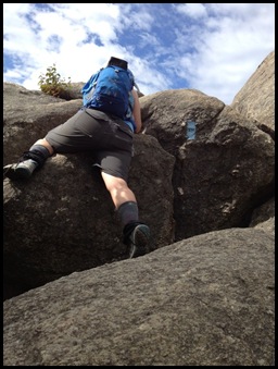 Old rag2