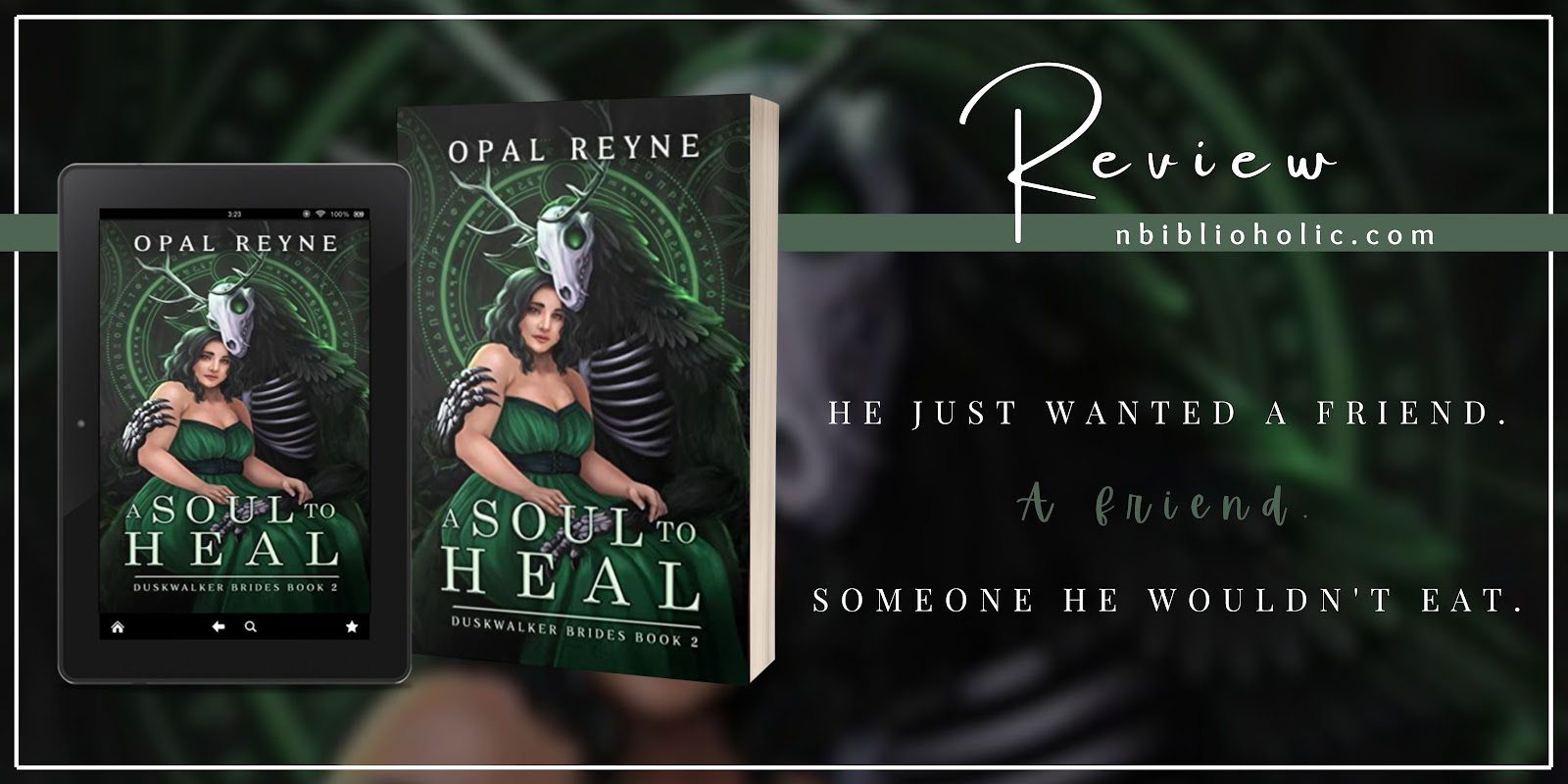 A Soul to Heal by Opal Reyne