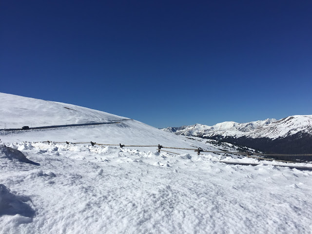 Trail Ridge Road