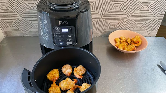 How to Use an Air Fryer For Weight Loss