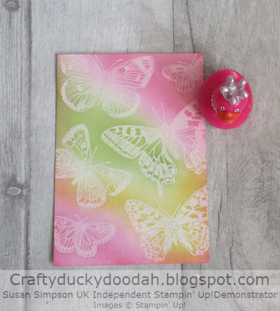 Craftyduckydoodah, Stampin' Up, Butterfly Brilliance, Colour Combo Blog Hop,