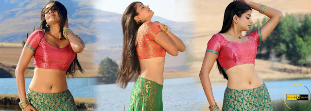 South Actress Priyamani Hot Navel in Ghagra Choli - Celebs Hot World HQ Photos No Watermark Pics