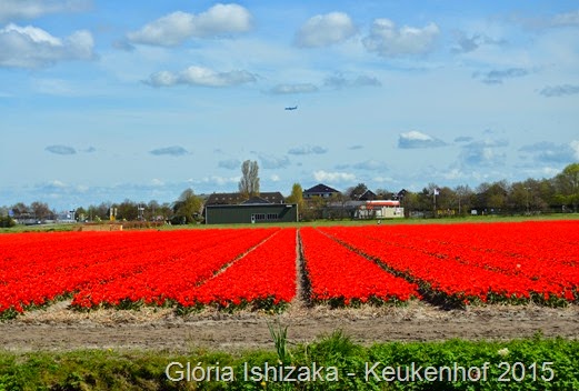 1 .Glória Ishizaka - Keukenhof 2015 - 106