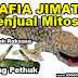 Mafia Jimat Pring Pethuk