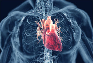 Rheumatic Heart Disease, rheumatic-diseases.blogspot.com