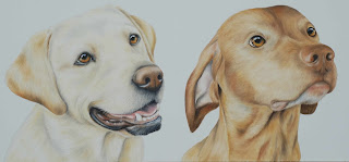 vizla and labrador pet portrait oil on canvas