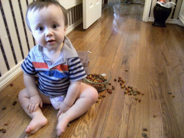 Crying Over Spilled Water (And Milk) (And Dogfood)