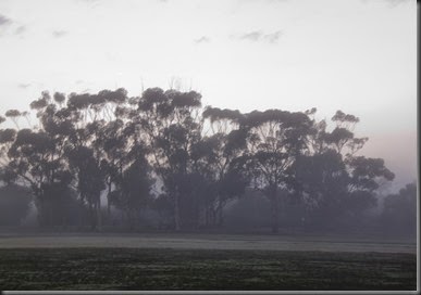 _MG_0001web