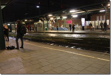 Station Gent-Sint-Pieters ゲント・セント・ピータース駅