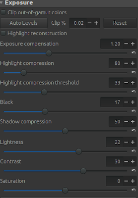 Exposure settings in RawTherapee of the image to recover the dark areas.
