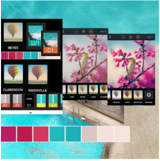 The best ways to Establish the Perfect Instagram Color palette