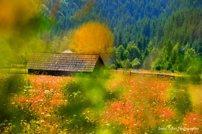 Tihuţa Pass, Borgo Pass, Translivania, Bucovina, Landscapes, Moldova, Romania, Suceava, Vatra Dornei, Bargau, Dracula, 