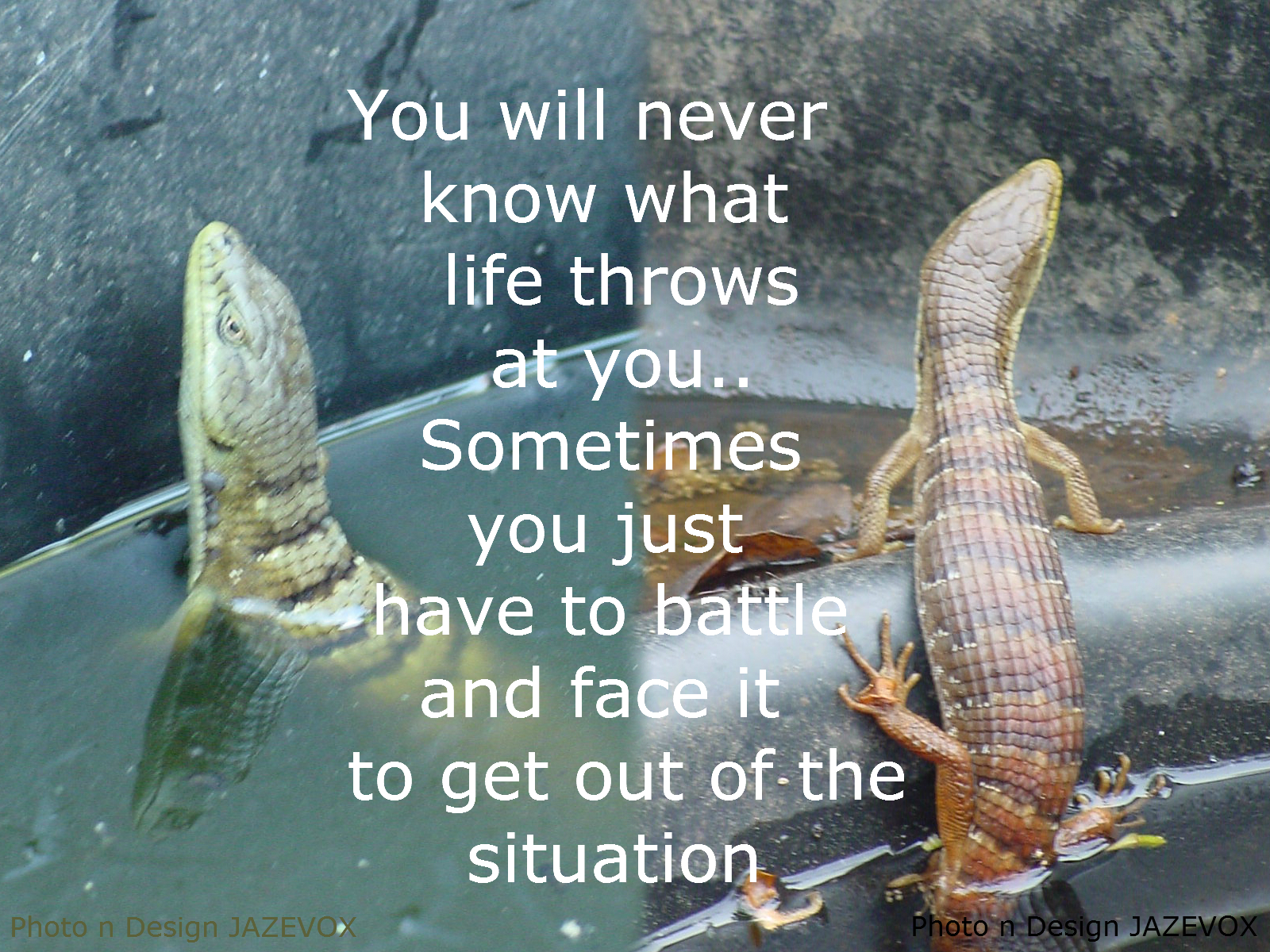 face and battle fight whatever struggles problems challenges trials life throws at you