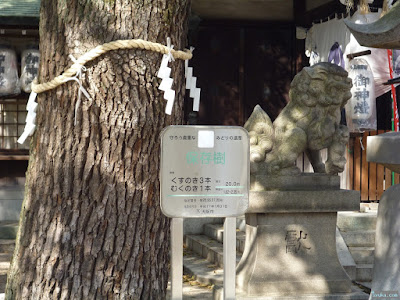 八王子神社保存樹