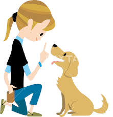 DOG TRAINING,Dog Training: Obedience Training for Dogs - Pets