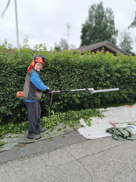 #Orapihlaja-aitojen #leikkaukset #Ylöjärvi #Tampere #Kangasala #Nokia #Lempäälä #Valkeakoski #Akaa #Sastamala talonmiespalvelu@gmail.com kuva5