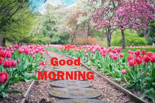 Latest Best Good Morning Wishes.