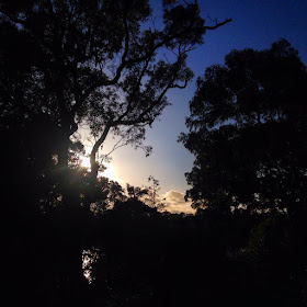 Sunrise at Oatley Park