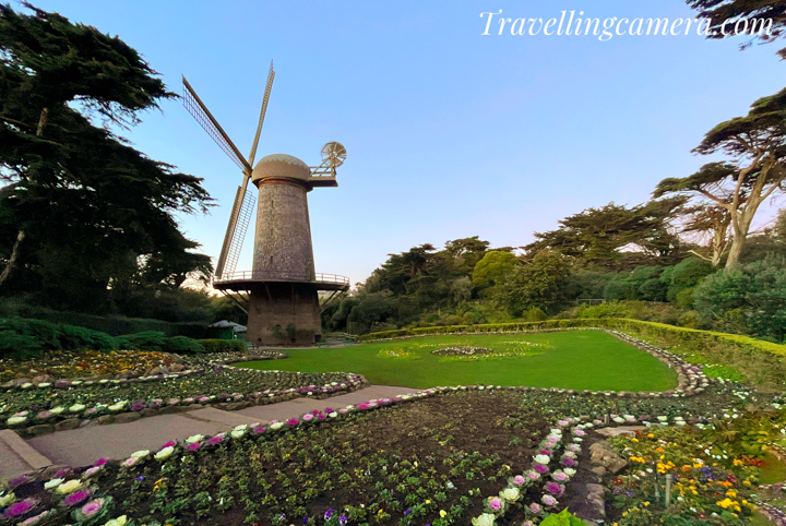 As visitors approach the Dutch Windmill, they are greeted by a symphony of color and fragrance. Surrounding the windmill is the Queen Wilhelmina Tulip Garden, a breathtaking display of vibrant tulips that bloom in a kaleidoscope of hues. The carefully curated garden pays homage to the Dutch tradition of tulip cultivation, creating a picturesque scene that captures the essence of spring throughout the year.