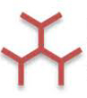  Rs. 20,000/- per month | Technical Assistant Vacancy @ NII New Delhi | 